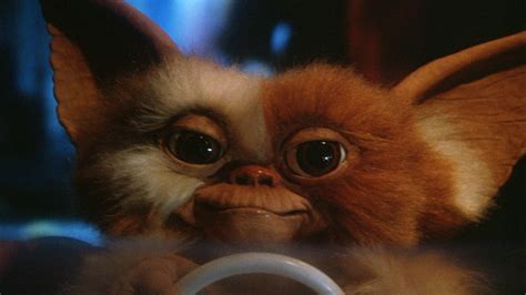 gremlins movie gizmo